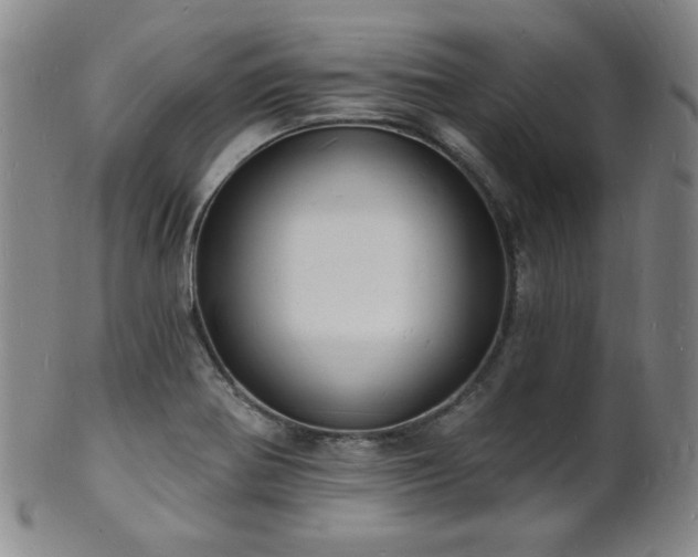 X0000101691370200807101503