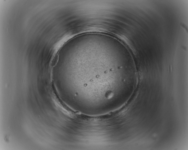 X0000101691371200807101503