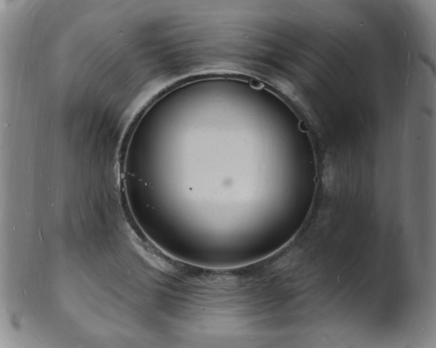 X0000101691372200807101503