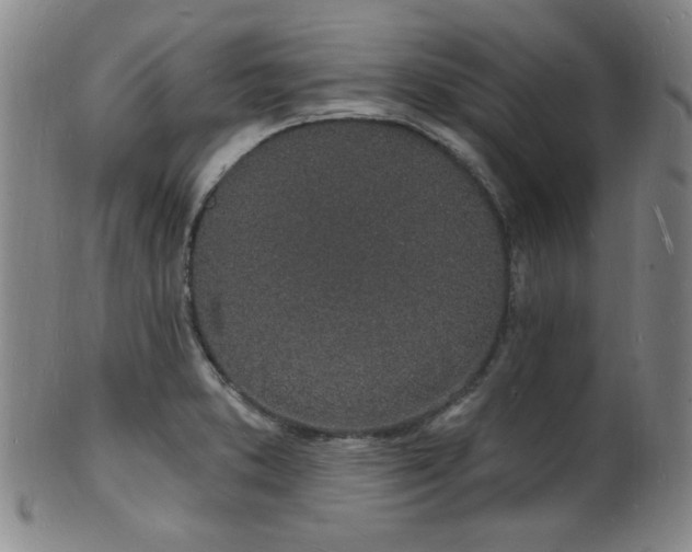X0000101691373200807101503