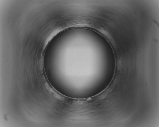 X0000101691374200807101503