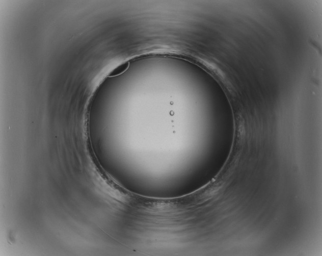 X0000101691375200807101503