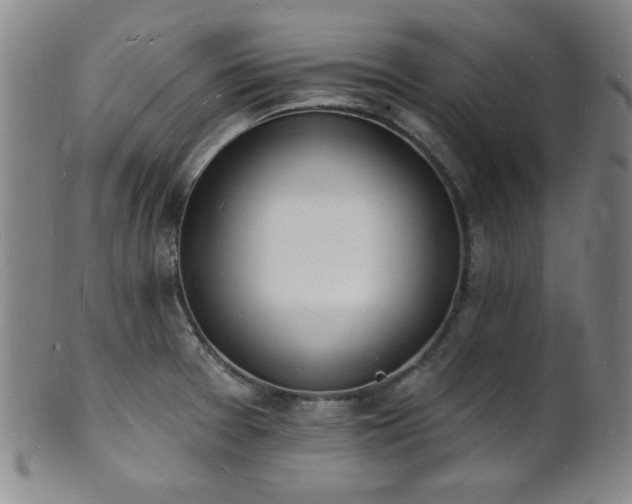 X0000101691377200807101503