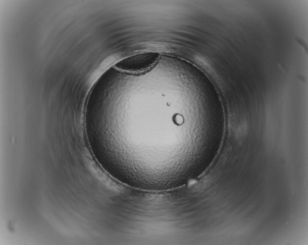 X0000101691378200807101503