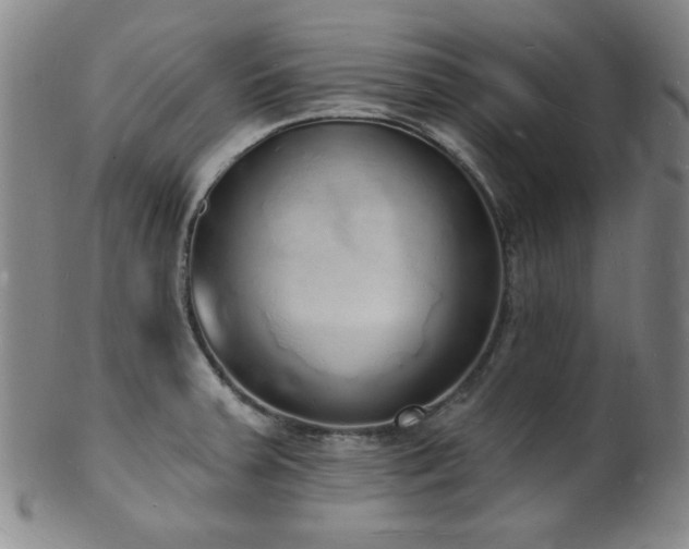 X0000101691379200807101503