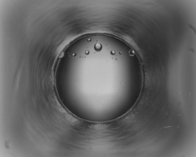 X0000101691380200807101503