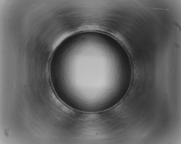X0000101691382200807101503
