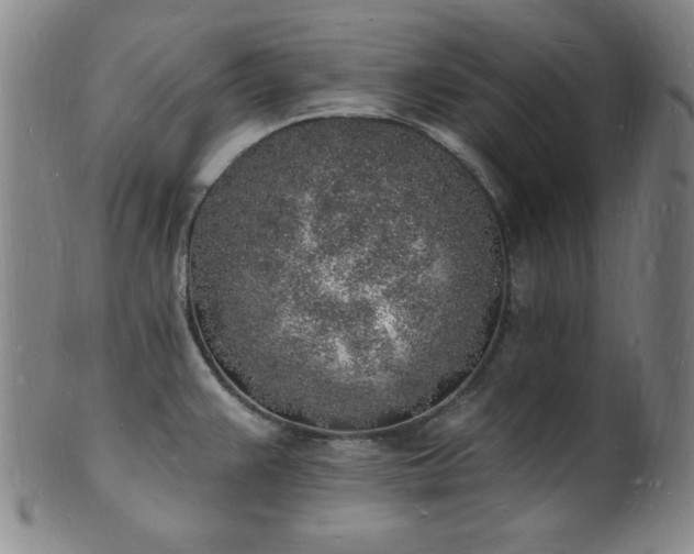 X0000101691383200807101503