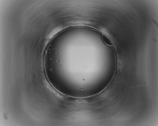 X0000101691384200807101502