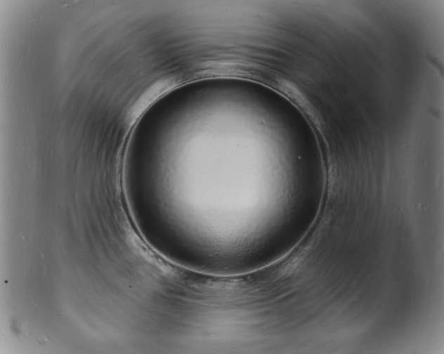 X0000101691386200807101502