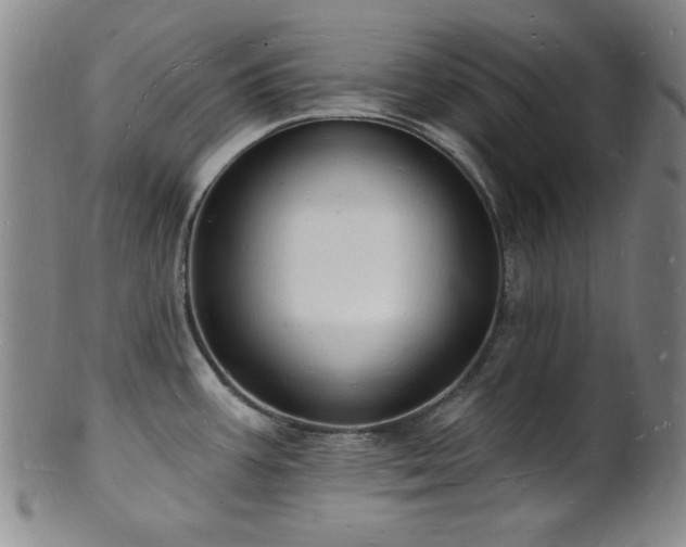 X0000101691387200807101502