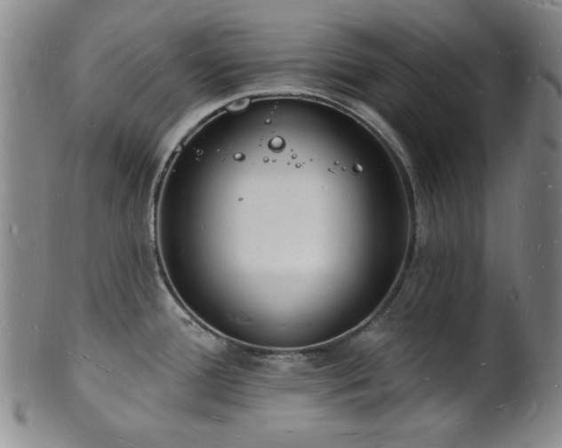 X0000101691388200807101502