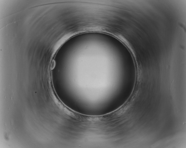 X0000101691389200807101502