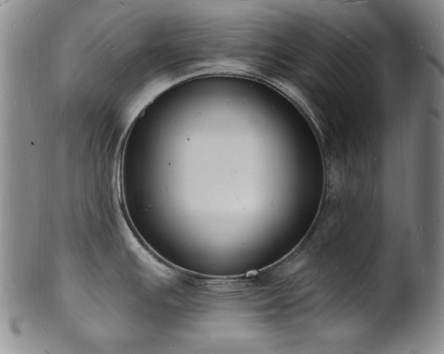 X0000101691391200807101502
