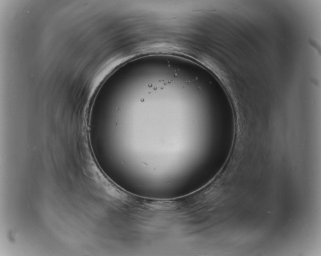 X0000101691392200807101502