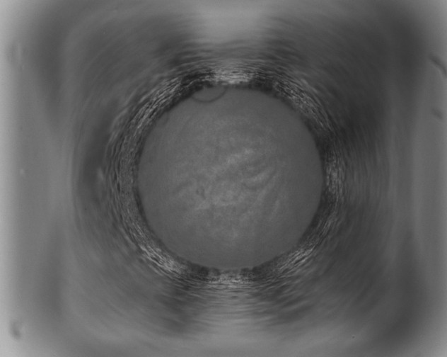 X0000101691393200807101502