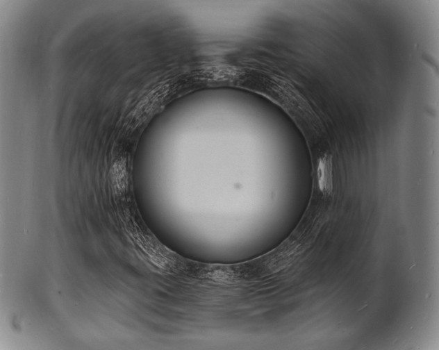 X0000101691395200807101502