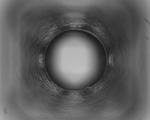 X0000101691396200807101502