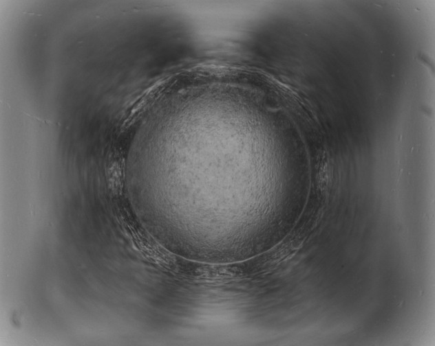 X0000101691397200807101502
