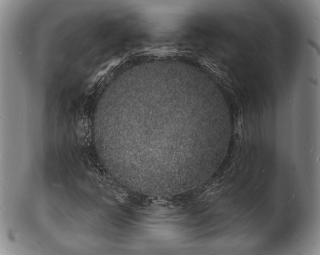 X0000101691398200807101502