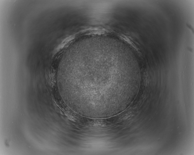 X0000101691399200807101502