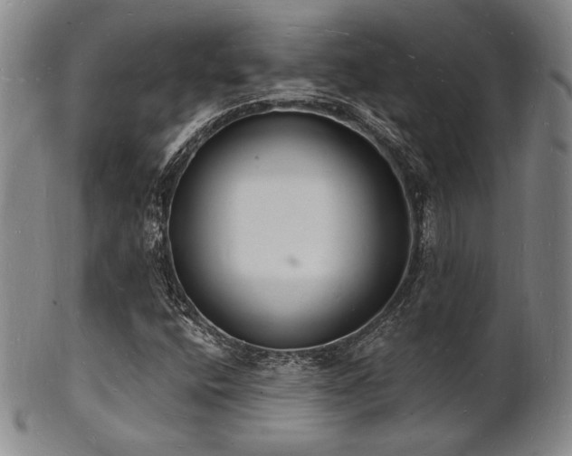 X0000101691400200807101502