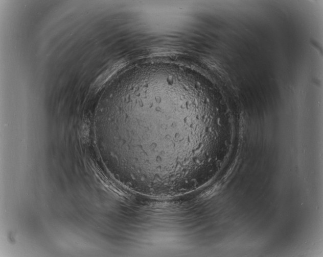 X0000101691401200807101502