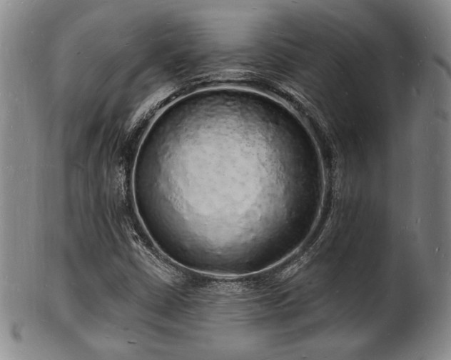 X0000101691402200807101502
