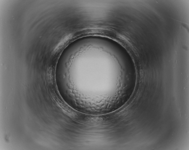 X0000101691403200807101502
