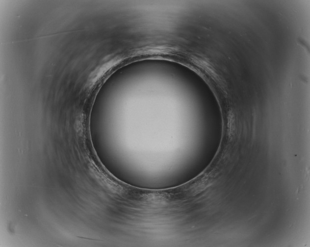 X0000101691404200807101502
