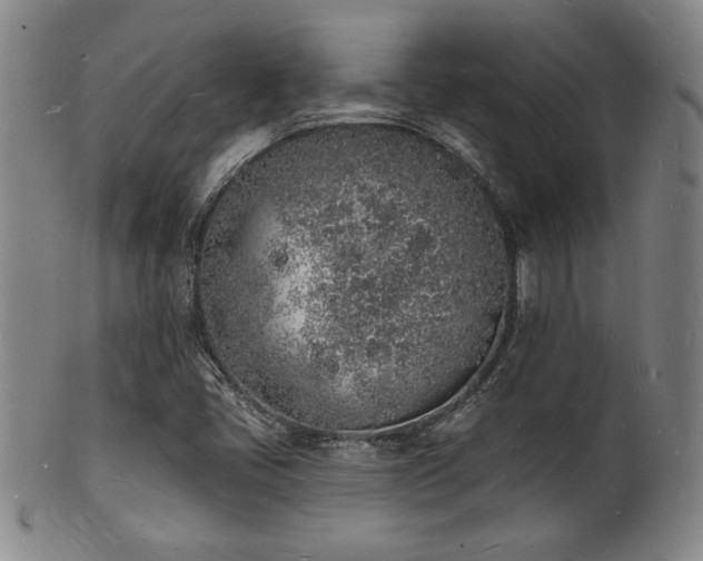 X0000101691405200807101502