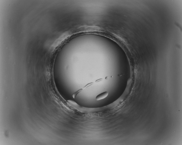X0000101691407200807101502