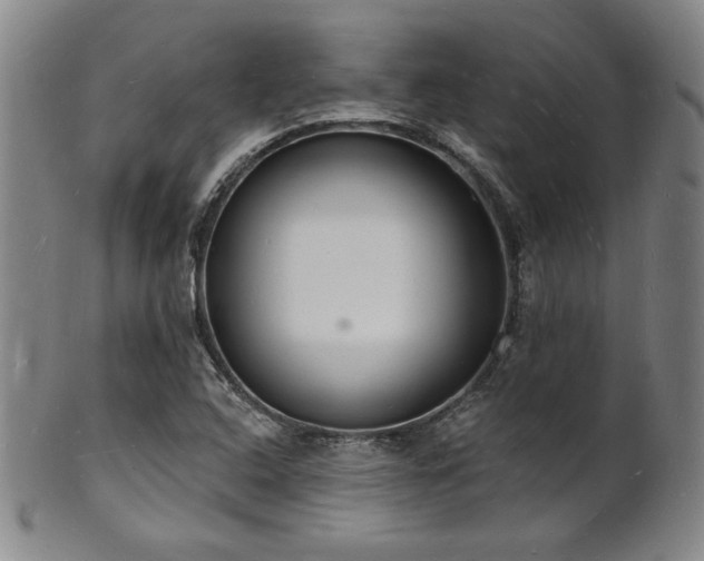 X0000101691408200807101502