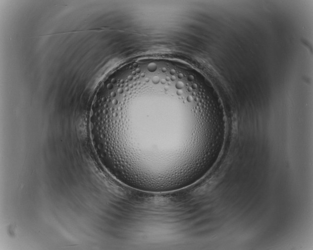 X0000101691409200807101502