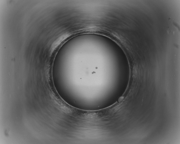 X0000101691410200807101502