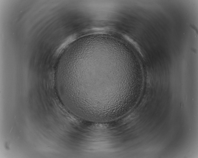 X0000101691411200807101502