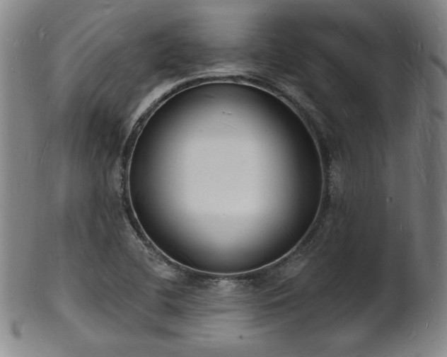 X0000101691412200807101502