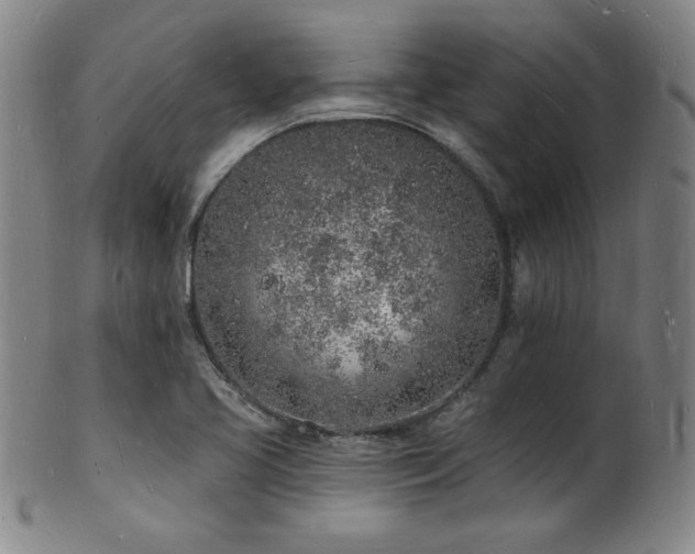 X0000101691413200807101502