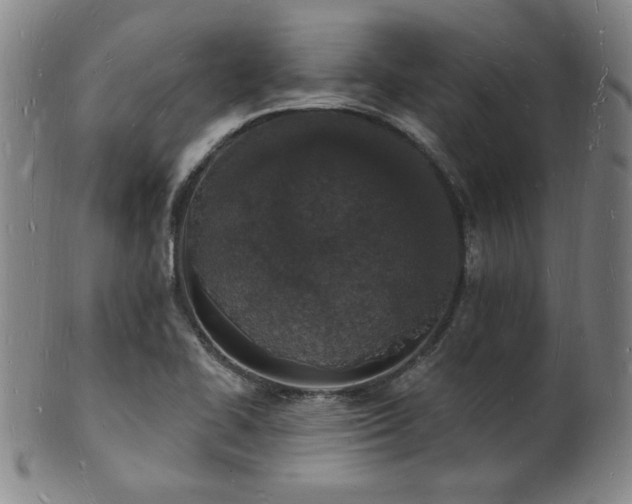 X0000101691414200807101502