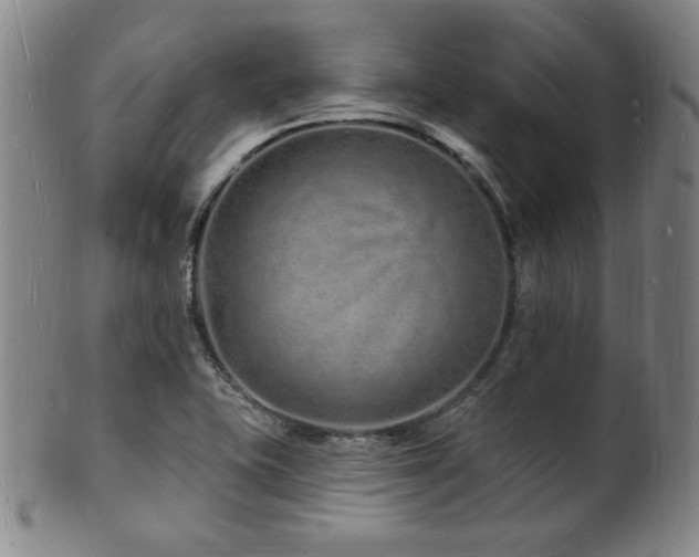 X0000101691415200807101502