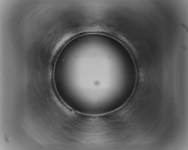 X0000101691416200807101502