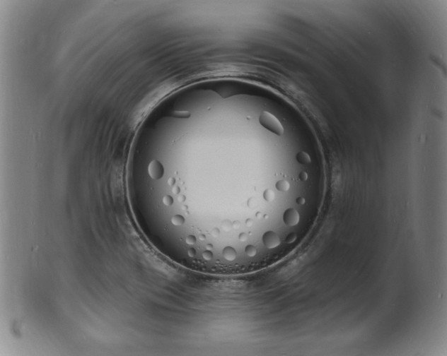 X0000101691417200807101502