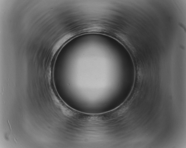 X0000101691418200807101502