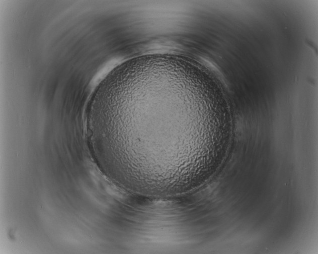 X0000101691419200807101502