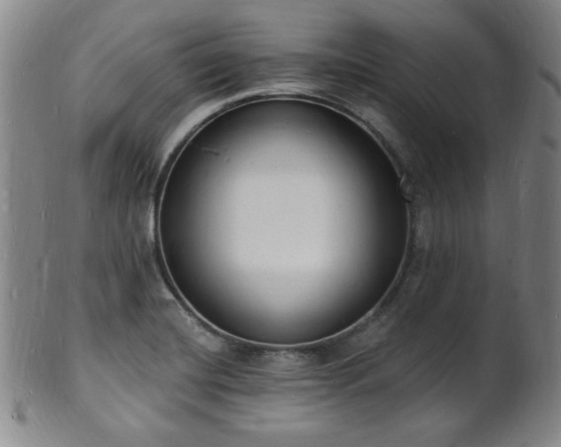 X0000101691420200807101502