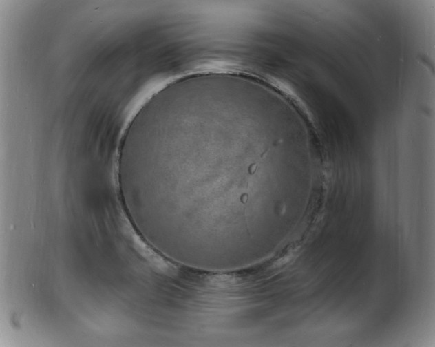 X0000101691421200807101502