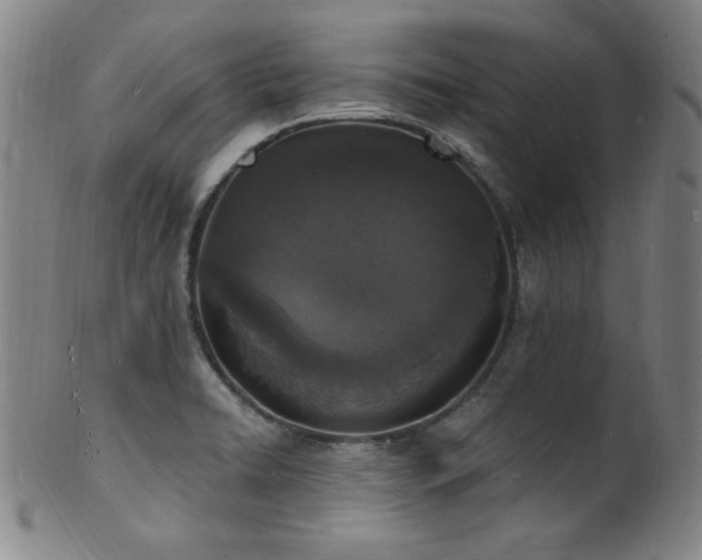 X0000101691422200807101502