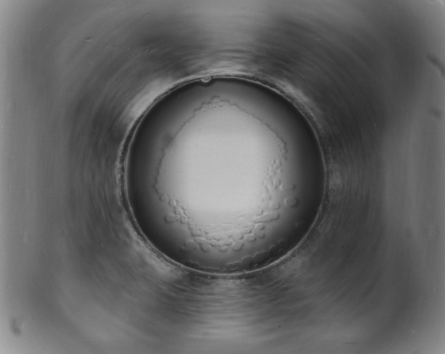 X0000101691423200807101502