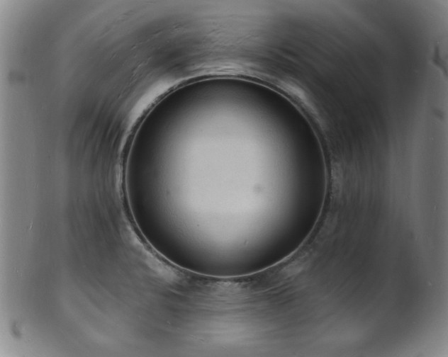 X0000101691424200807101502