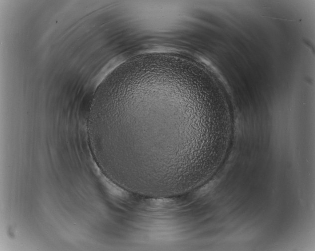 X0000101691425200807101502